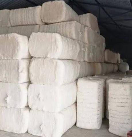 Cotton