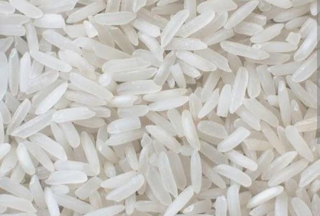 Rice