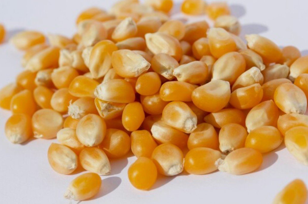 Corn Product